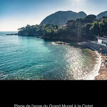 Grand T2 Confort Avec Terrasse *